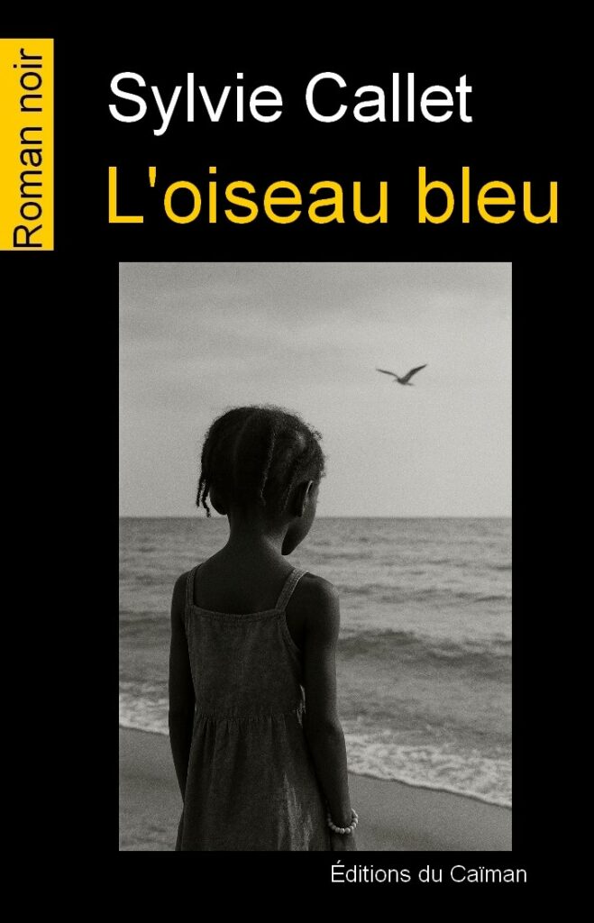 L'oiseau bleu roman noir